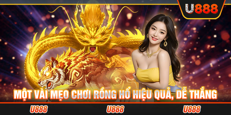 Một vài mẹo chơi rồng hổ hiệu quả, dễ thắng