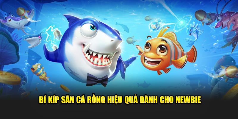 Bí kíp săn cá rồng hiệu quả 