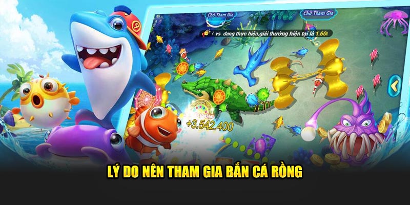 Lý do nên tham gia bắn cá rồng 